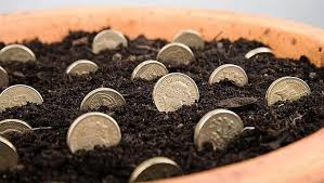 Fund Placement (PE / VC)