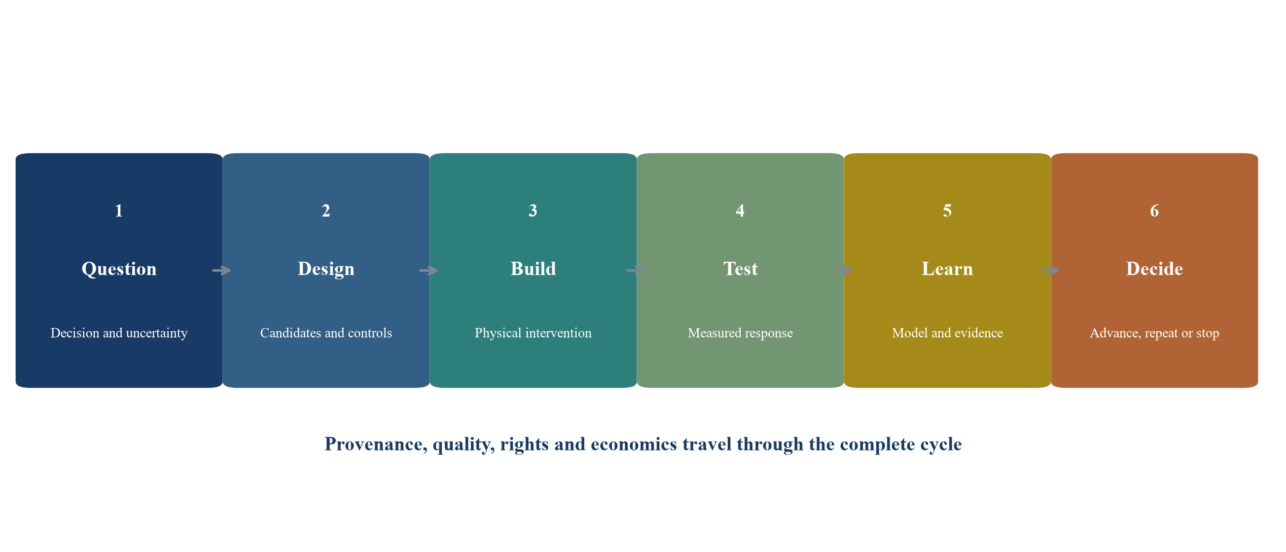 Figure 1. The transaction-relevant experiment cycle from question to decision