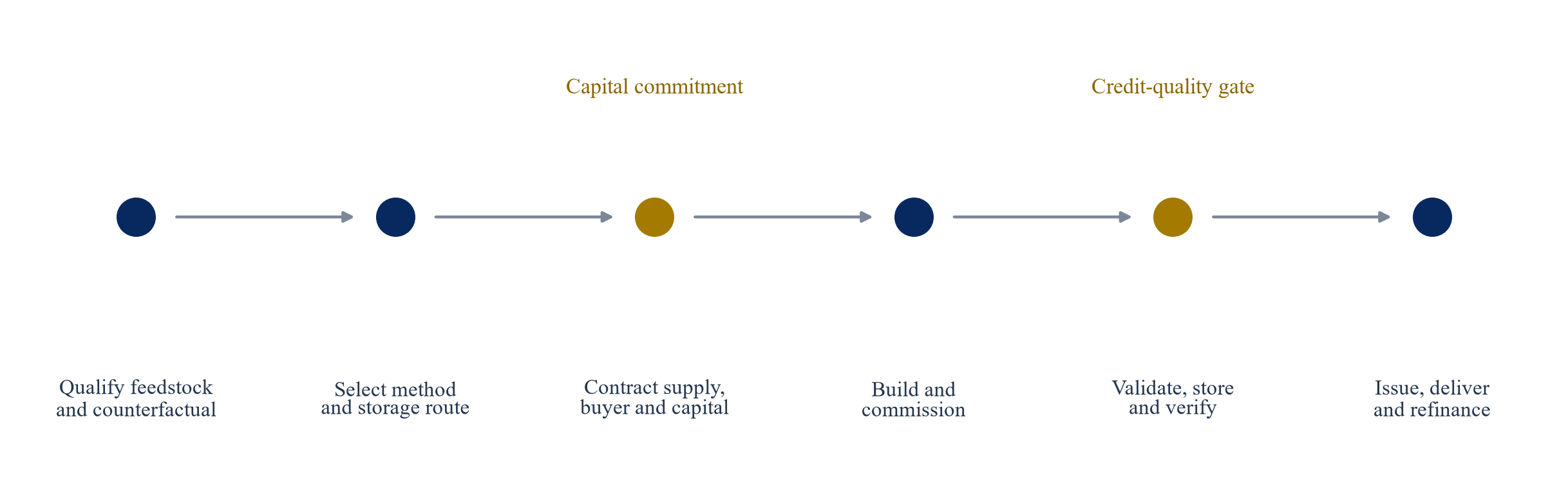 Figure 3. Proposed biochar investment and verification roadmap