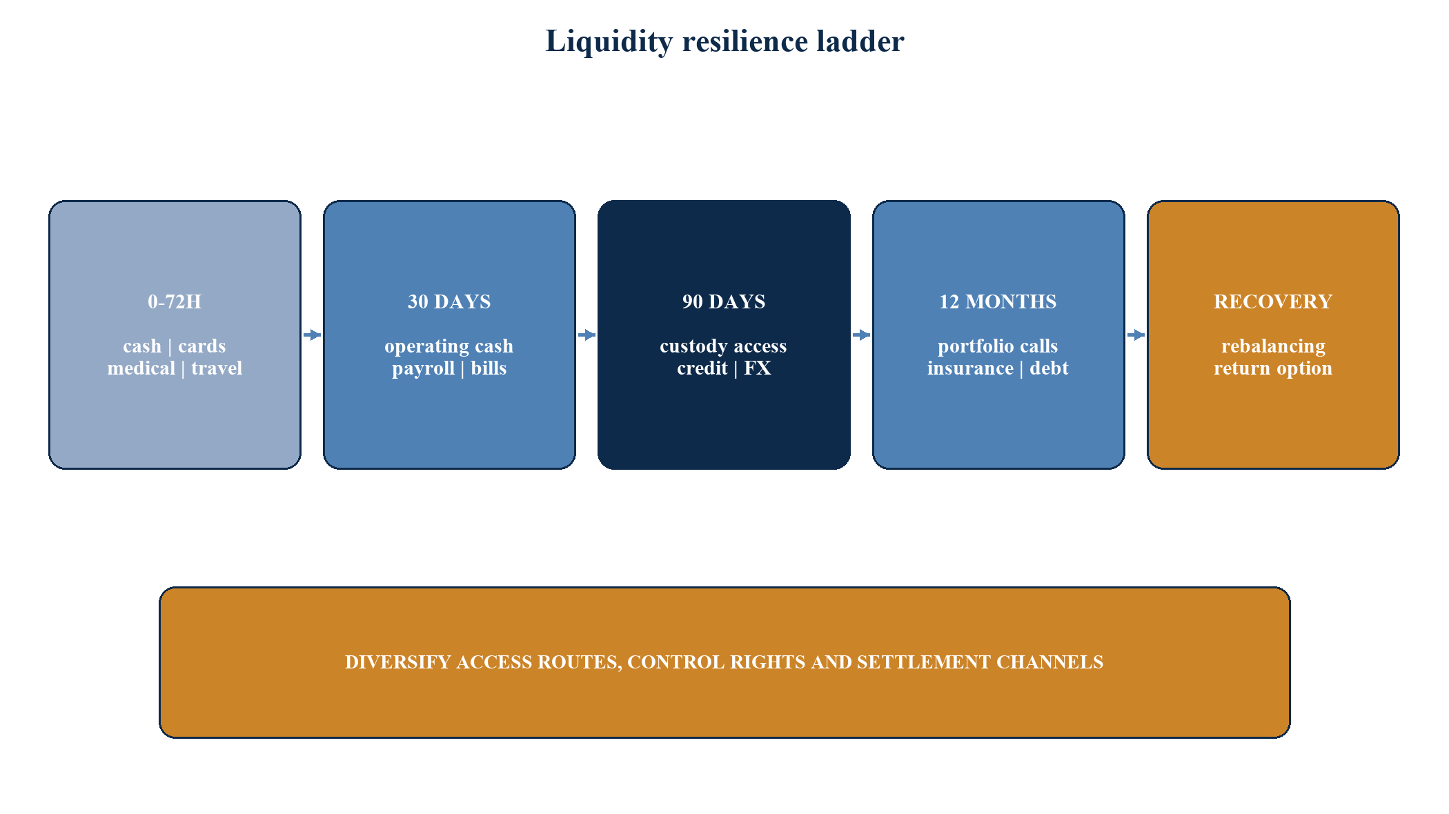 Figure 5. Liquidity resilience ladder