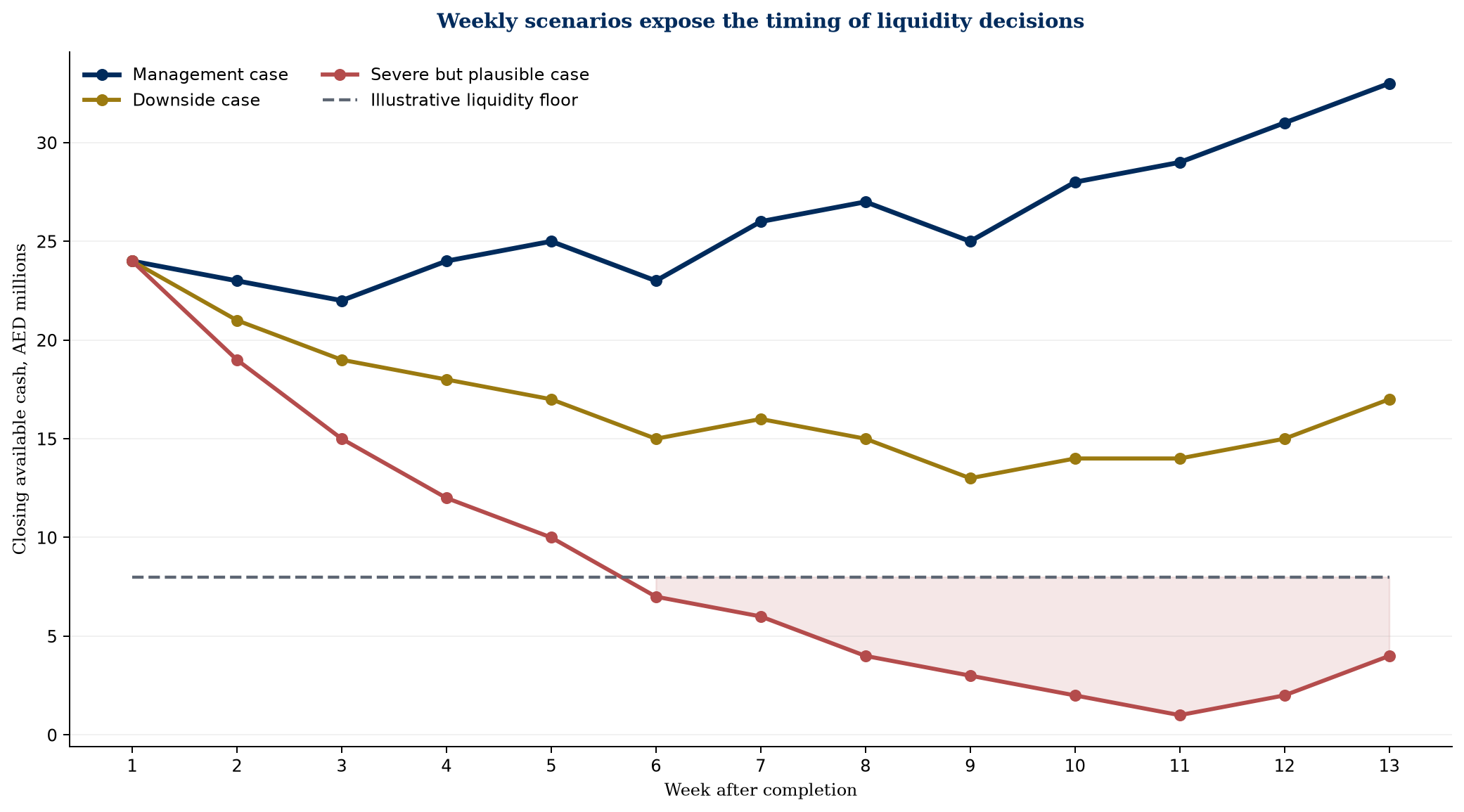 Figure 5. Hypothetical 13-week liquidity view after completion