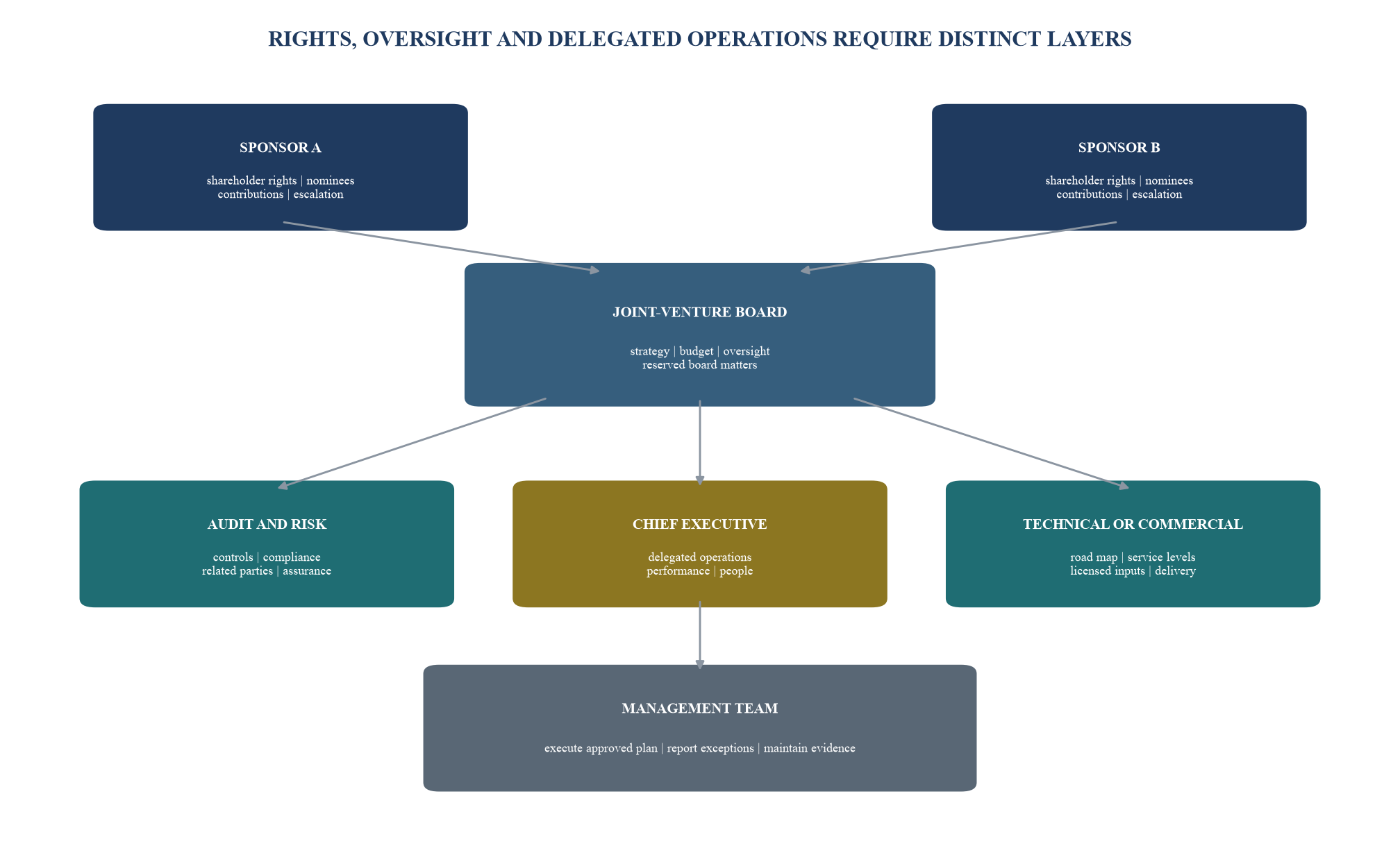Figure 3. Governance map for a jointly controlled operating company
