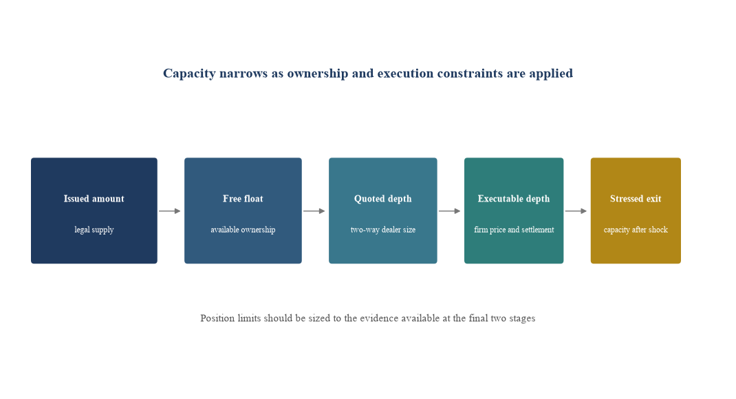 Figure 2. From issuance to executable institutional capacity