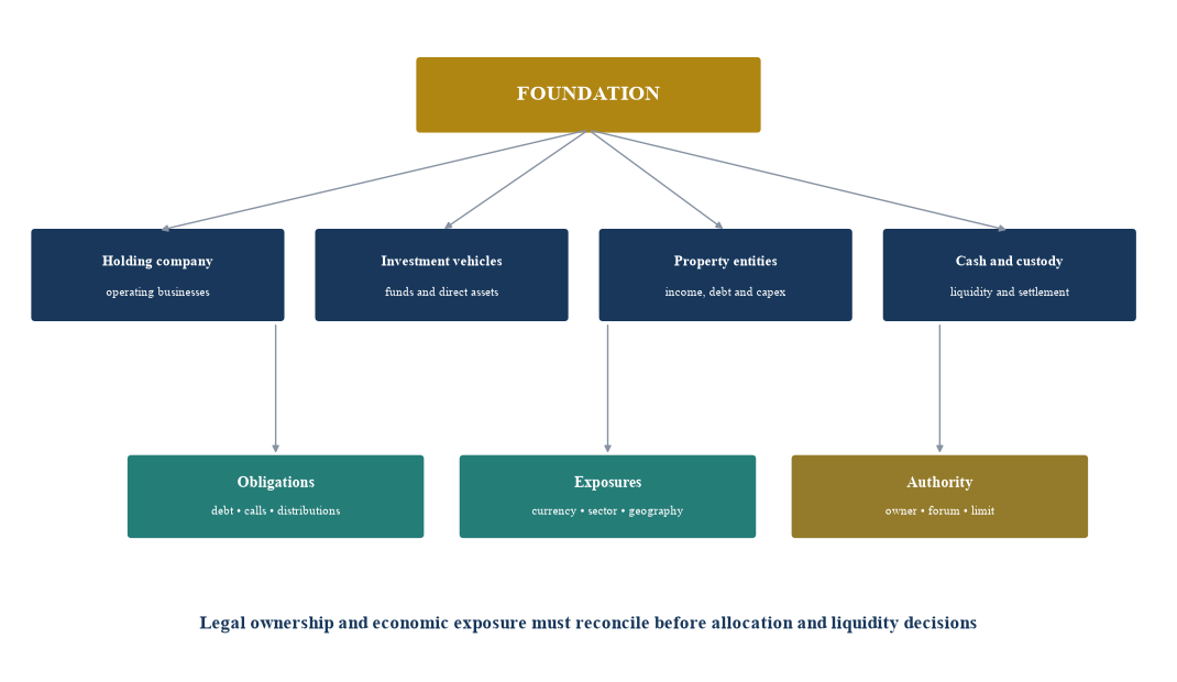 Figure 2. Foundation economic balance-sheet map