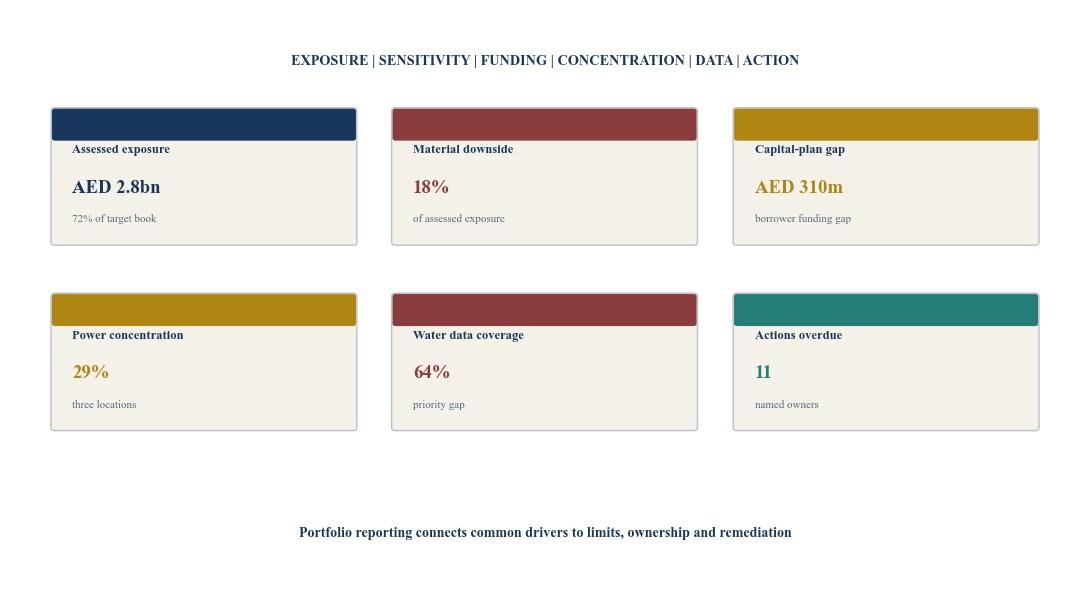 Figure 6. Hypothetical transition-risk loan-book dashboard