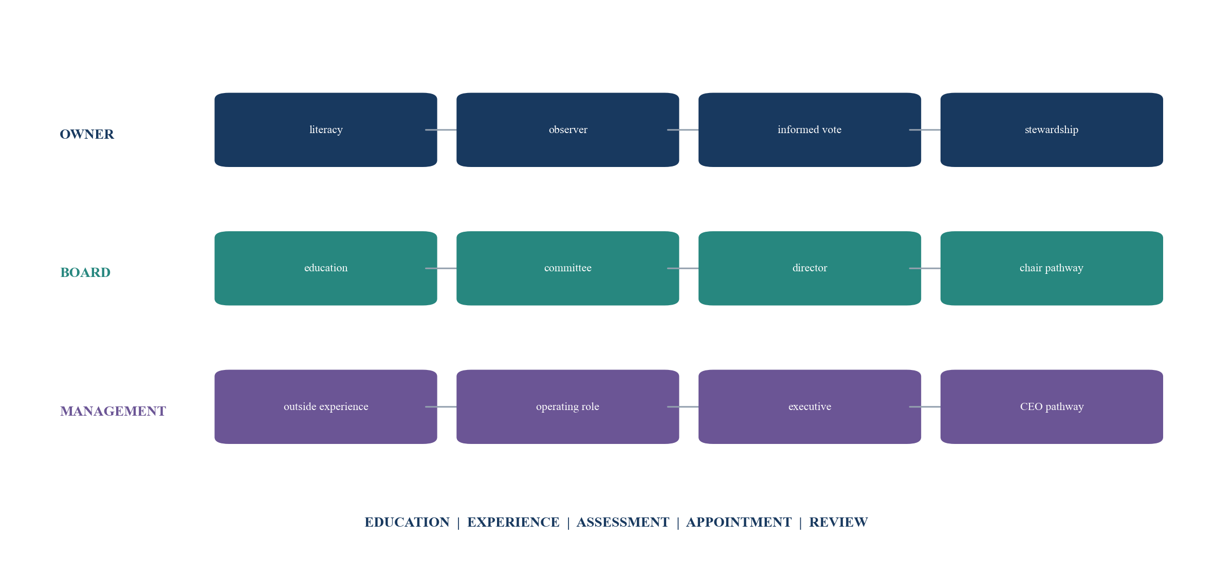 Figure 5. Next-generation ownership, board and management succession pathway