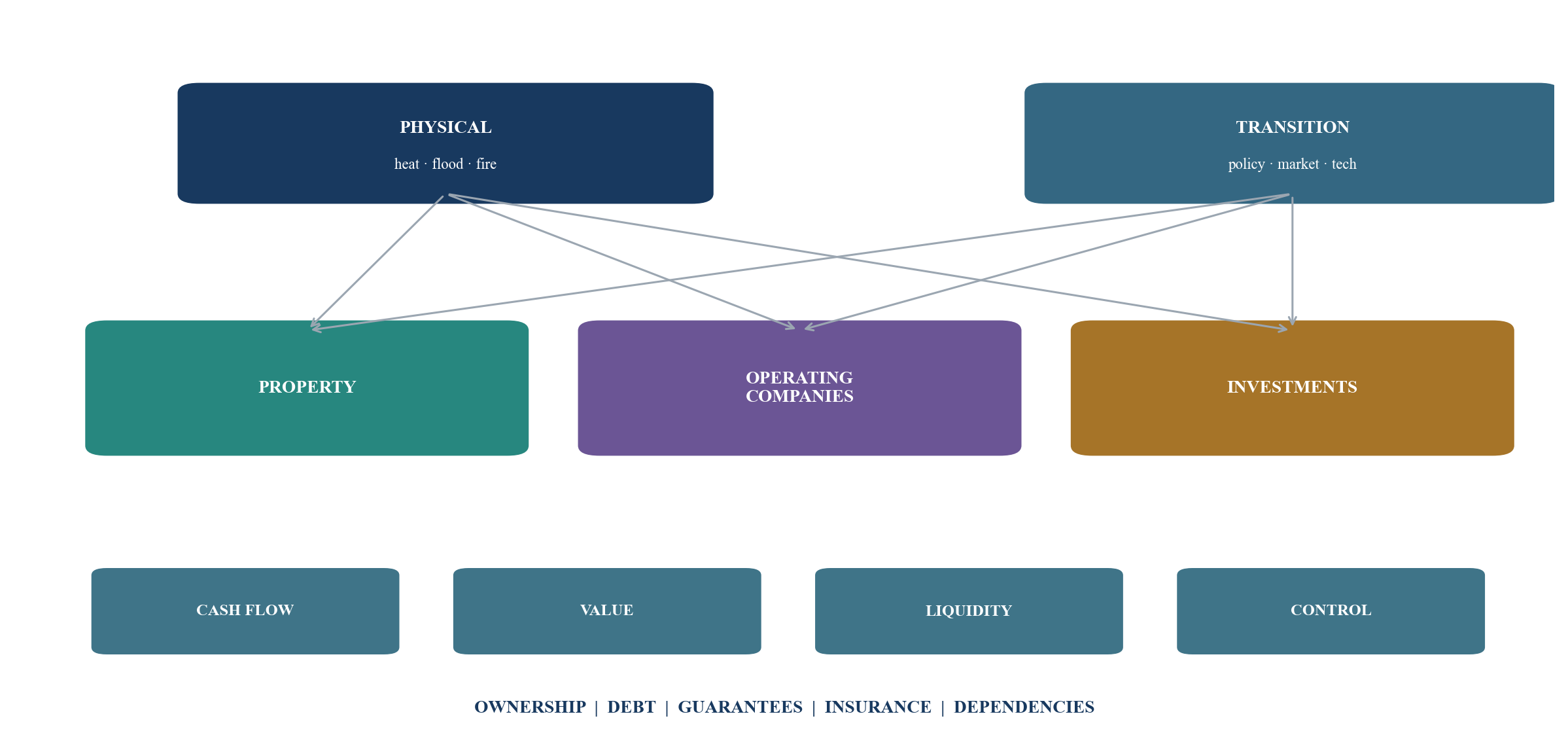 Figure 1. Climate-risk transmission across the family balance sheet