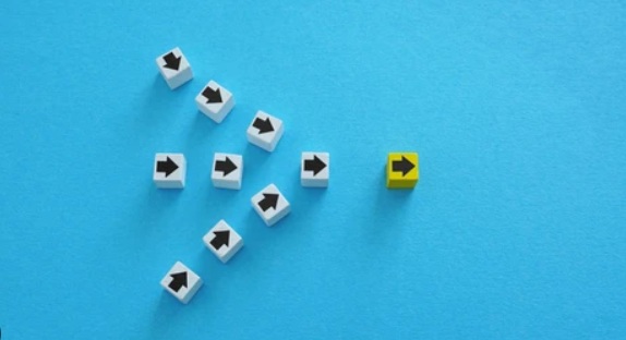 Manager Selection in Private Markets: A Due Diligence Scorecard for IC Members