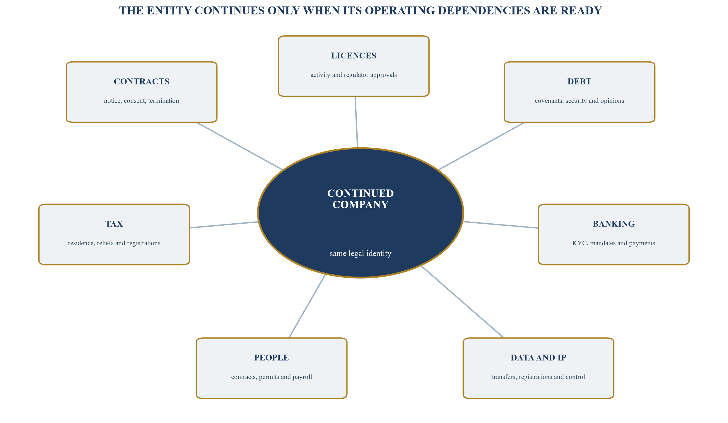 Figure 2. Legal continuity and business dependency map