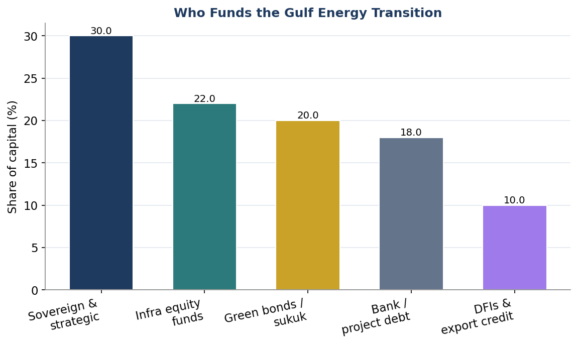 Figure 4. Who Funds the Gulf Energy Transition