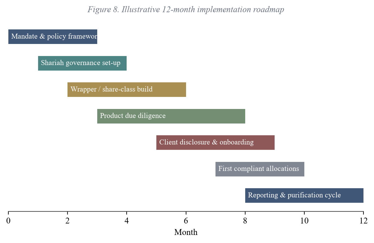 Figure 8. A Twelve-Month Implementation Roadmap